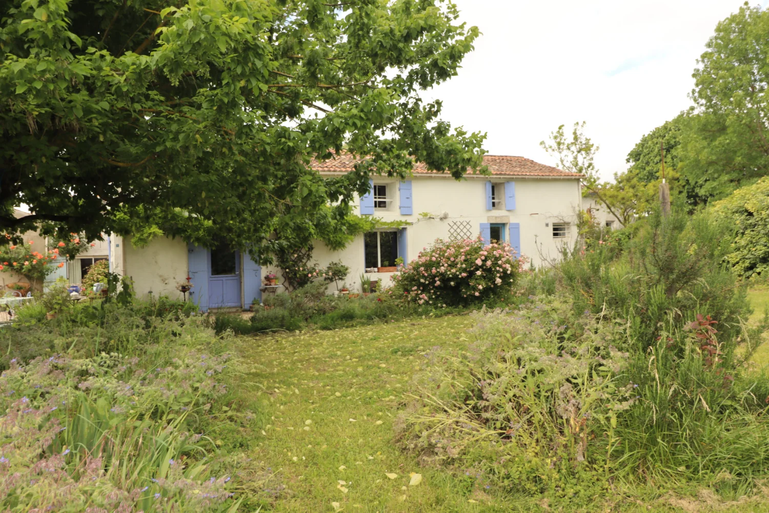 Ensemble de gîtes de 143 m² à Arces (17)
