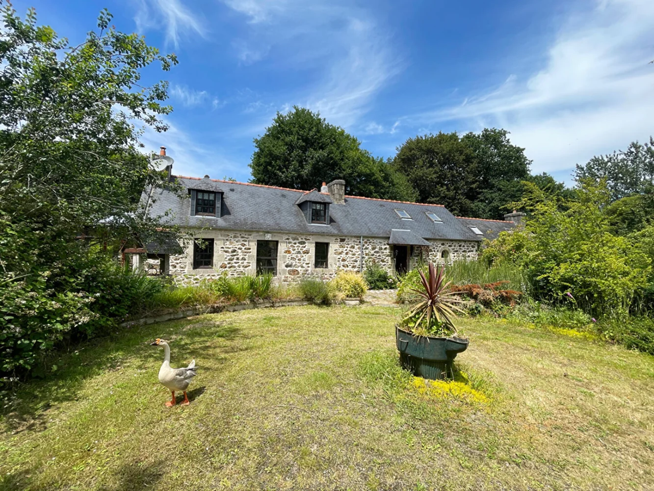 Ferme en pierre avec gîte attenant et étang de loisirs — Callac, Côtes-d'Armor
